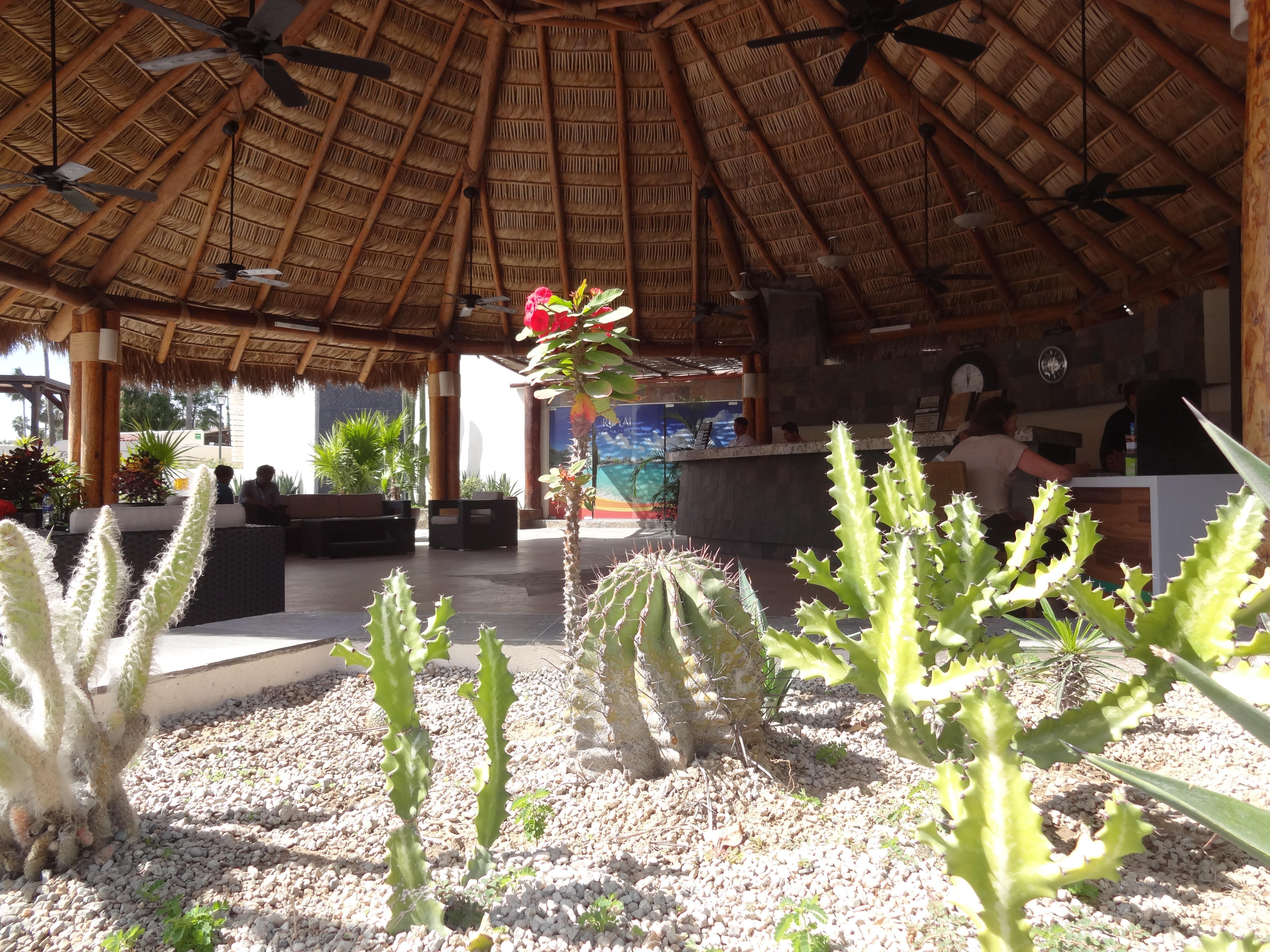 ホテル パーク ロイヤル ロスカボス San José del Cabo エクステリア 写真